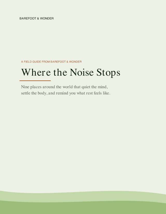 Cover of Where the Noise Stops